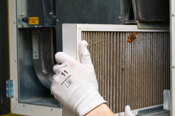 Best HVAC System Cleaning  in Whiteman Af, MO
