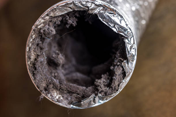 Best Affordable Air Duct Cleaning  in Whiteman Af, MO