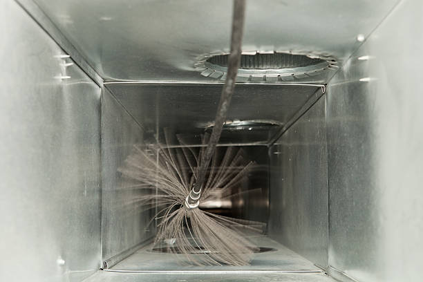 Best Professional Duct Cleaning Services  in Whiteman Af, MO