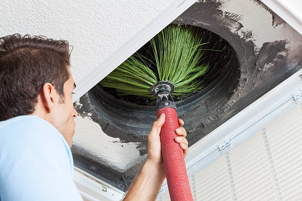 Best Affordable Duct Cleaning Services  in Whiteman Af, MO